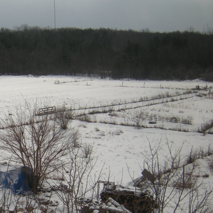 Winter Pasture and Garden