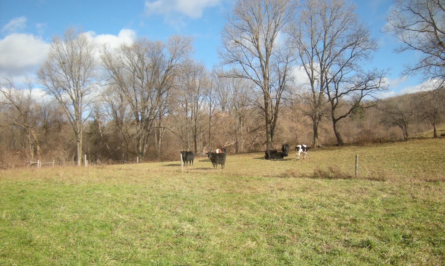 Southwick Family Farm Local, Natural, NonGMO